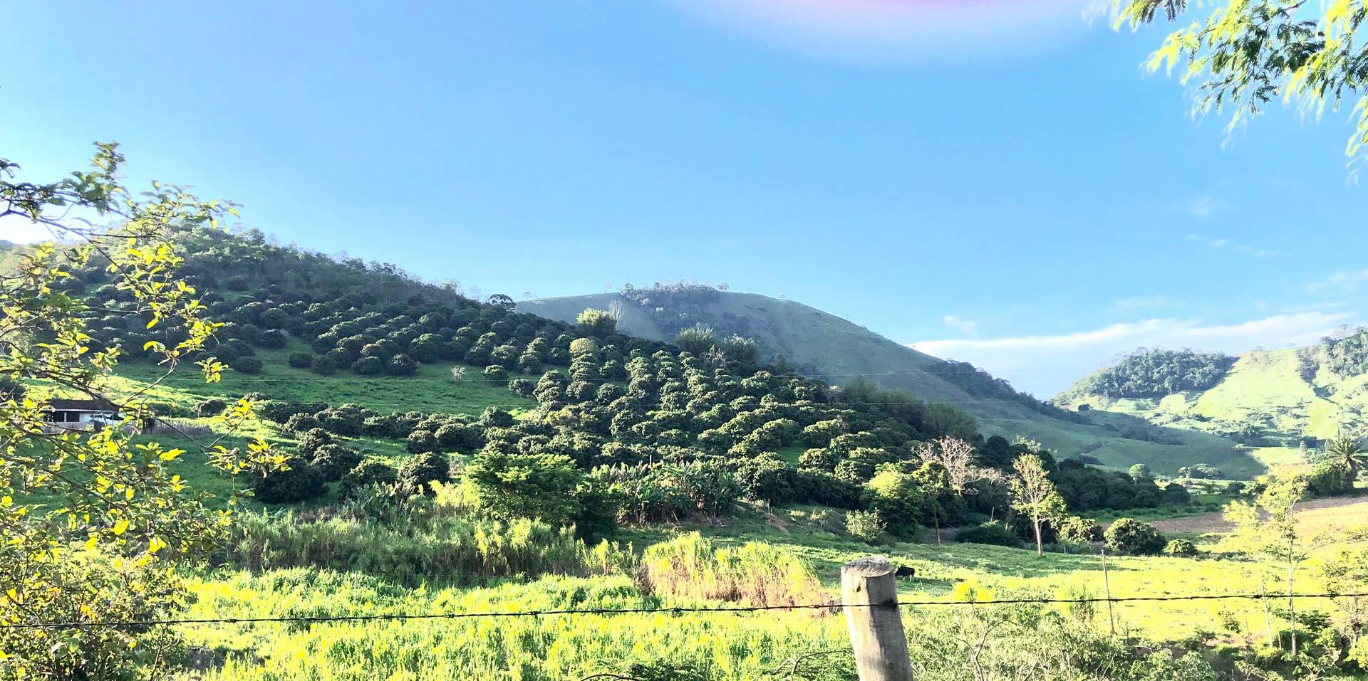 #1393 - Chácara para Venda em Carmo - RJ