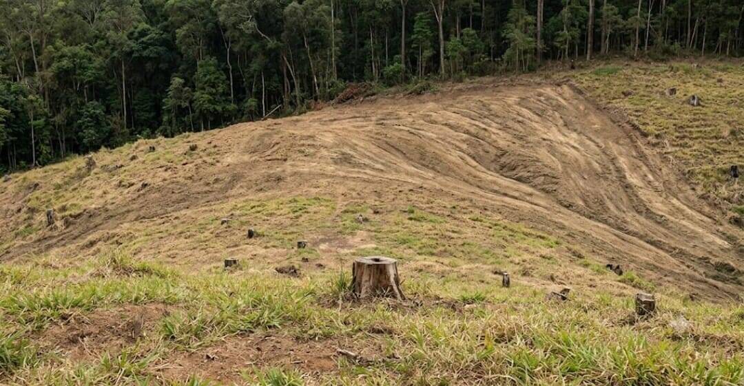 #1600 - Terreno para Venda em Teresópolis - RJ
