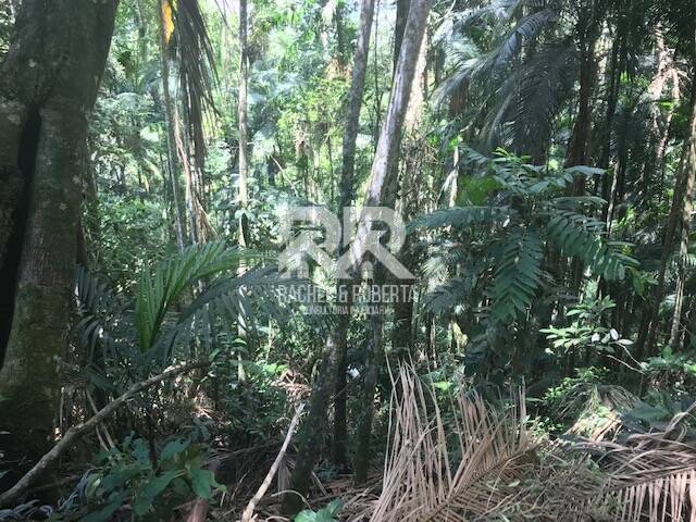 #821 - Terreno para Venda em Teresópolis - RJ - 3