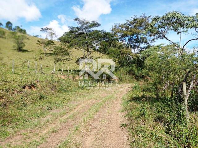 #964 - Fazenda para Venda em Teresópolis - RJ - 3