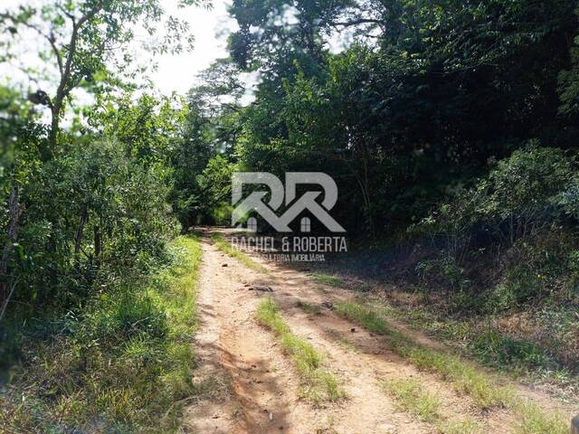 Fazenda para Venda em Teresópolis - 4