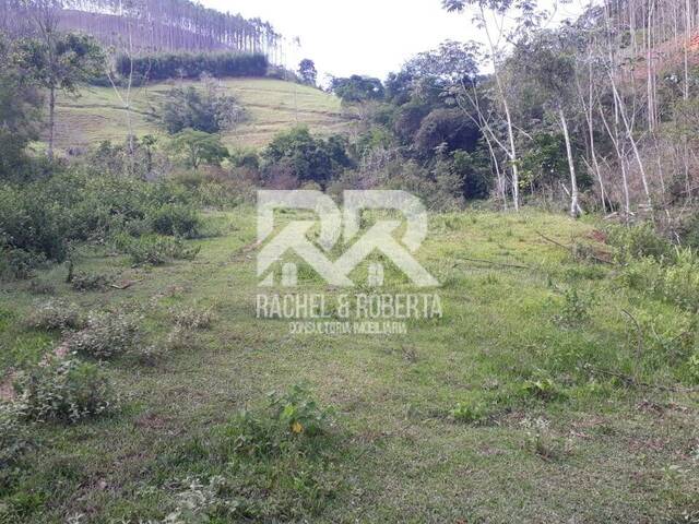 #1131 - Sítio para Venda em Carmo - RJ - 2