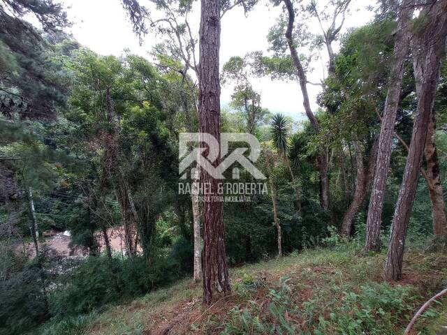 Casa para Venda em Teresópolis - 4