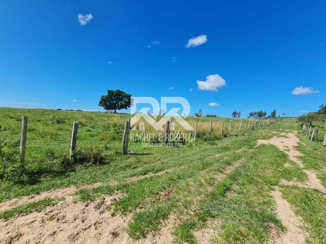 Fazenda para Venda em Araruama - 5
