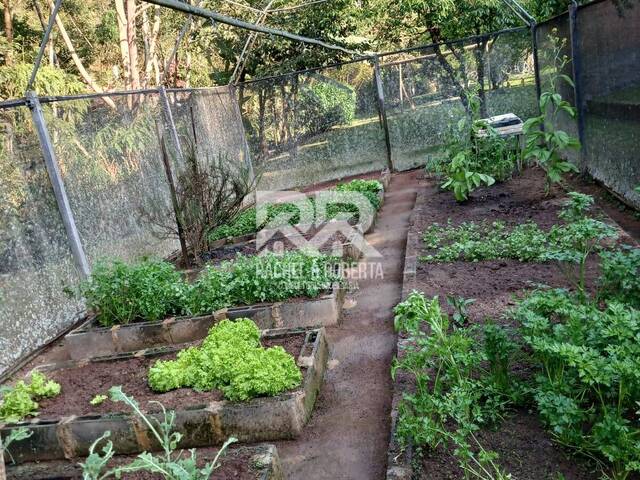 #1522 - Sítio para Venda em Teresópolis - RJ - 3