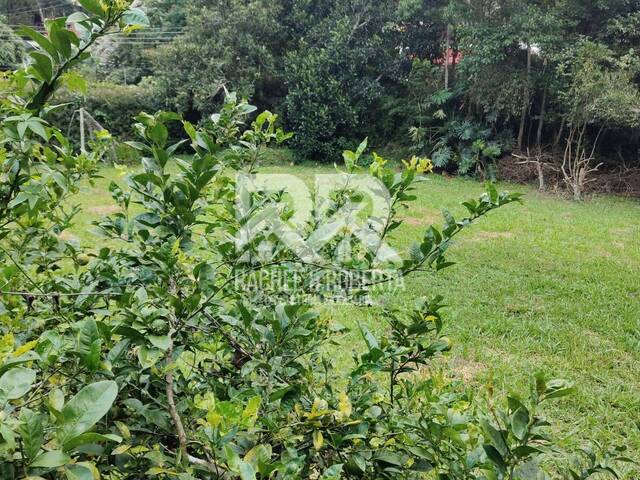 #1545 - Área para Venda em Teresópolis - RJ - 2