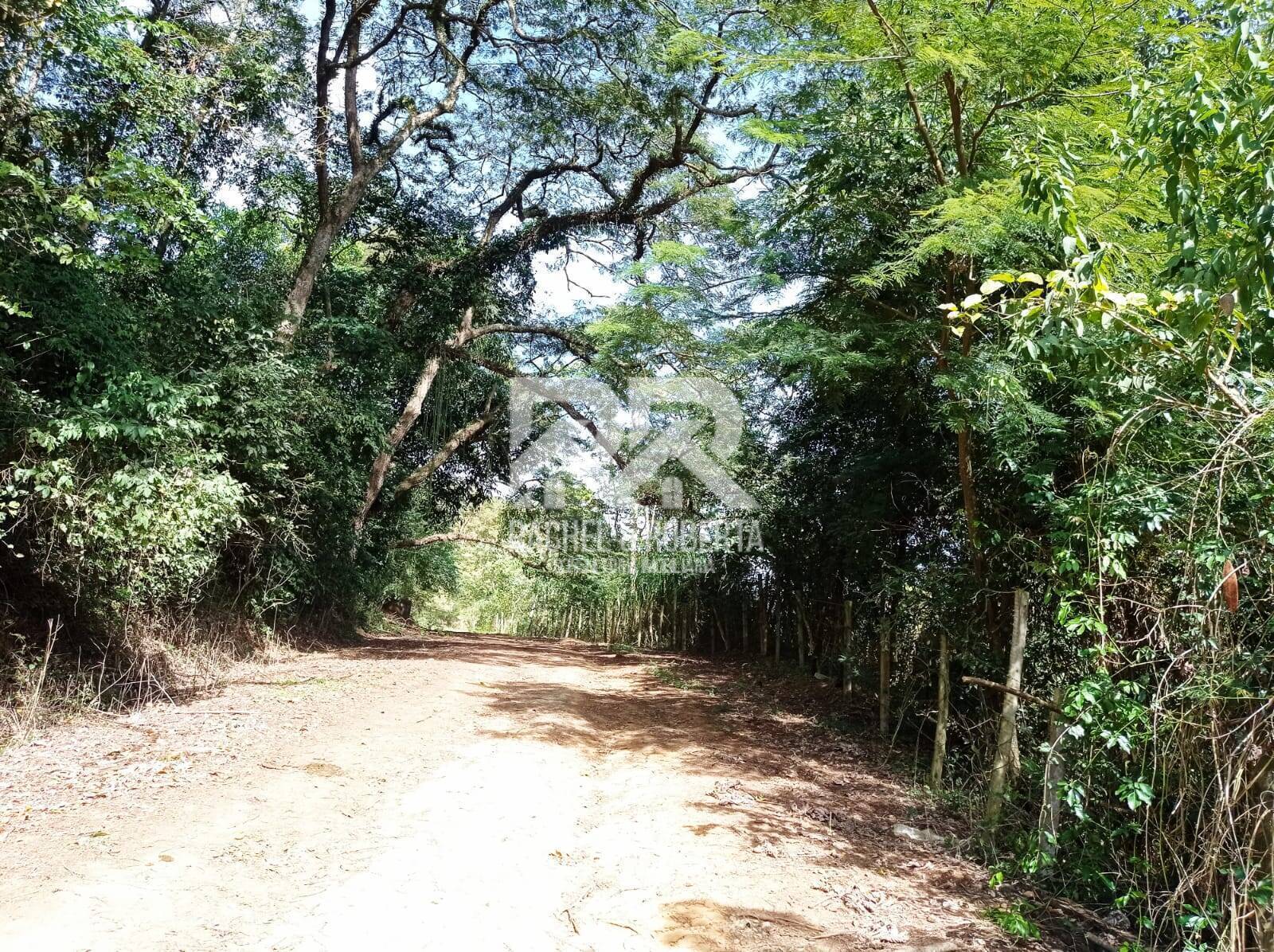 Fazenda à venda com 4 quartos, 21m² - Foto 2