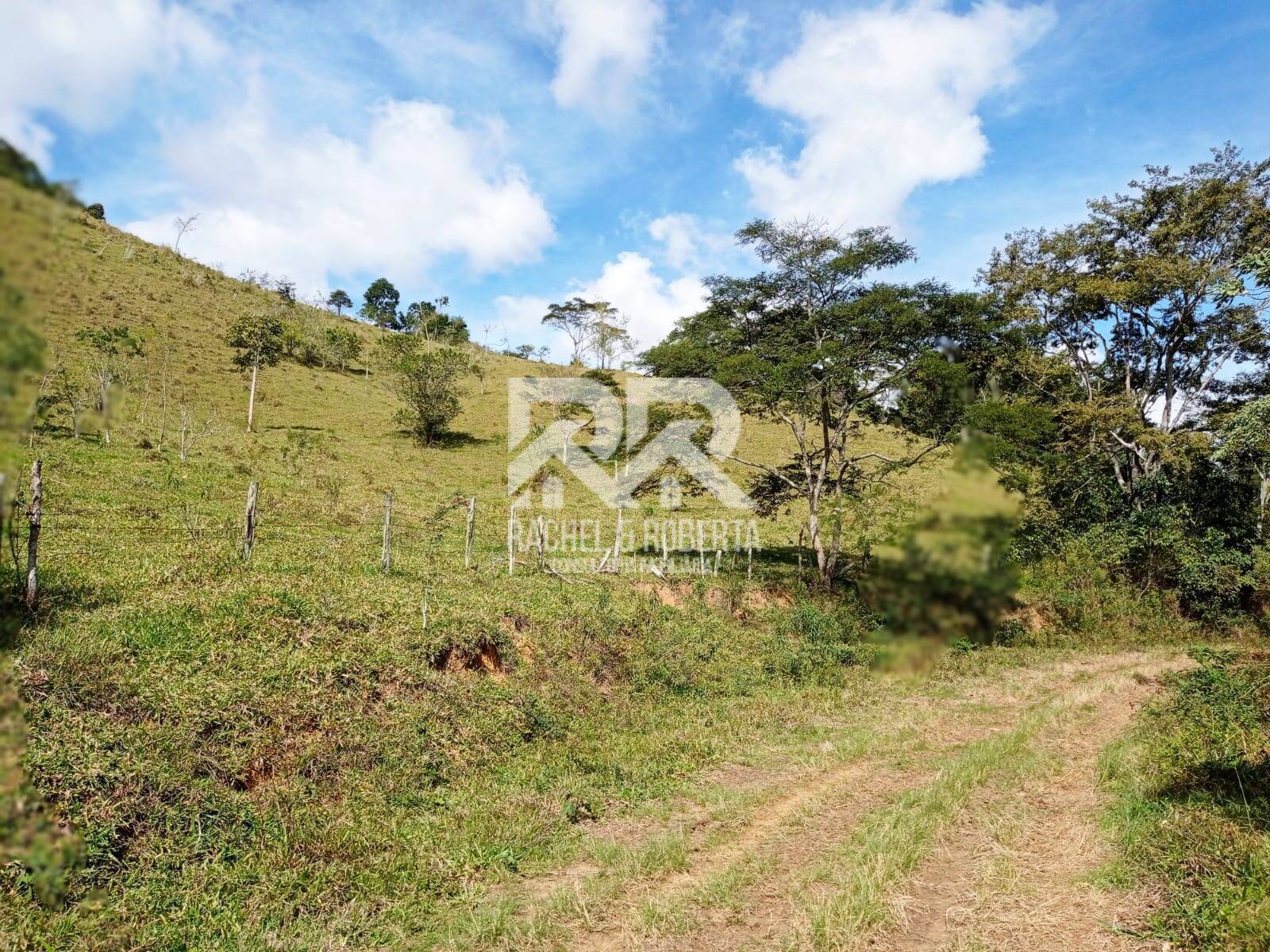 Fazenda à venda com 4 quartos, 21m² - Foto 5