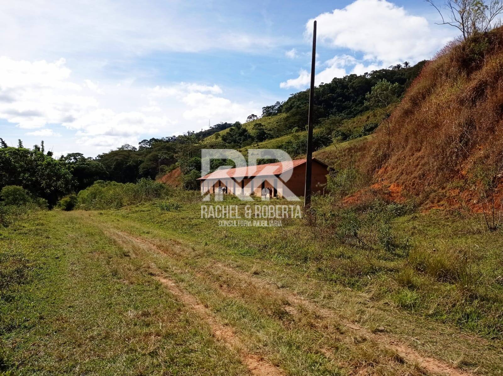 Fazenda à venda com 4 quartos, 21m² - Foto 8