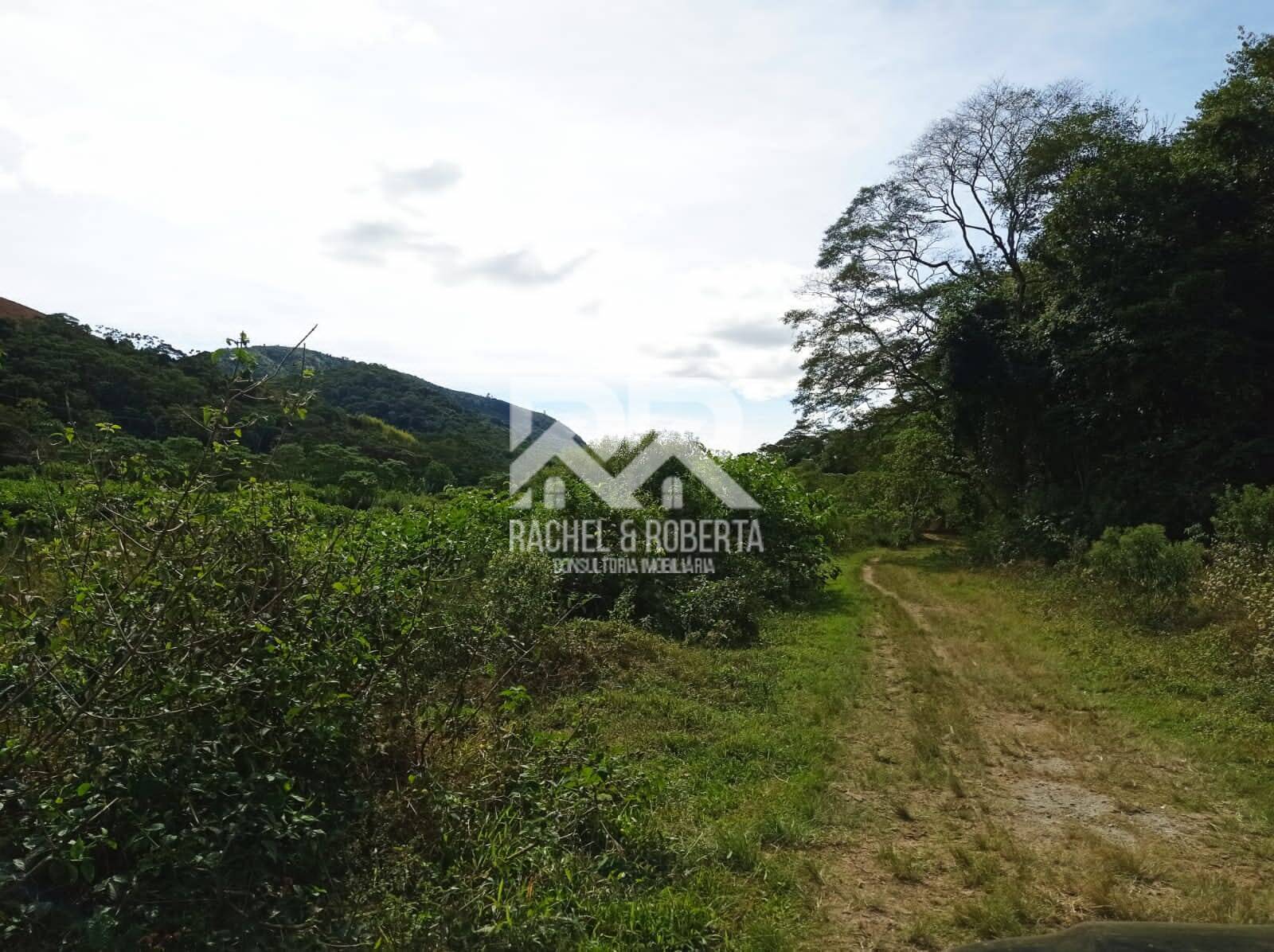 Fazenda à venda com 4 quartos, 21m² - Foto 6