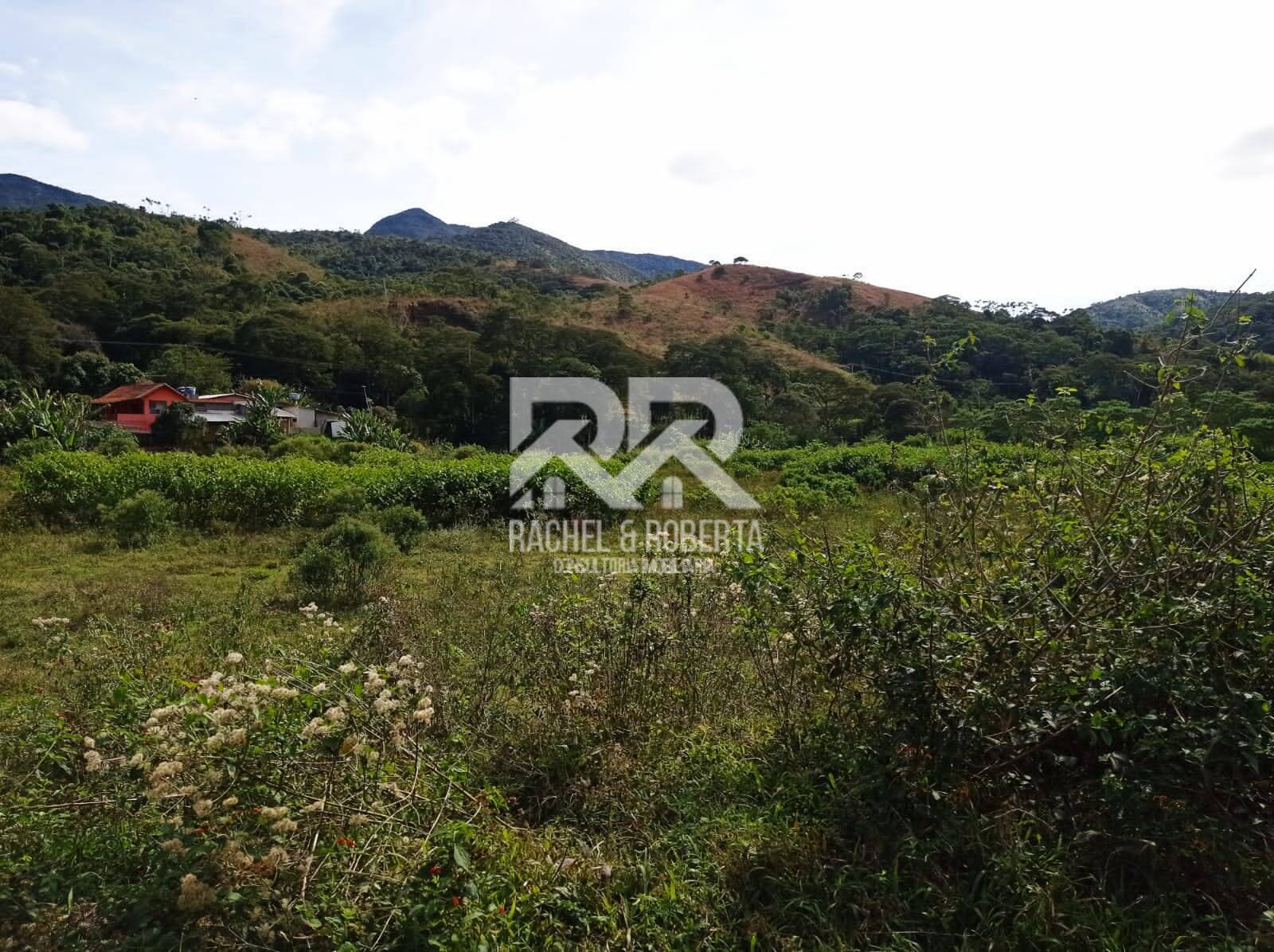 Fazenda à venda com 4 quartos, 21m² - Foto 7