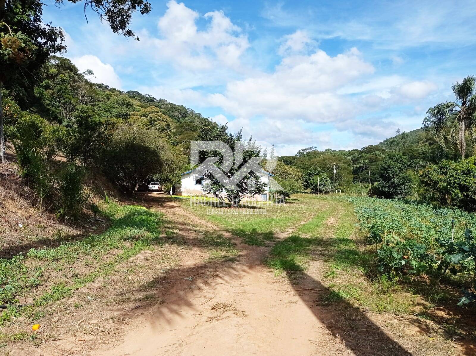 Fazenda à venda com 4 quartos, 21m² - Foto 9