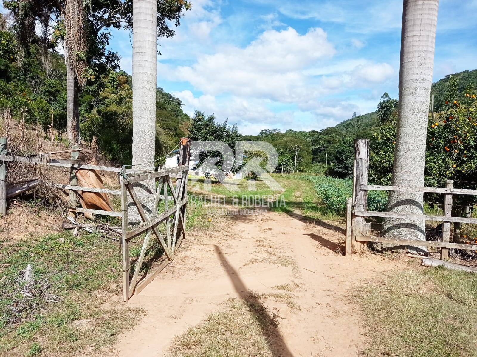 Fazenda à venda com 4 quartos, 21m² - Foto 10