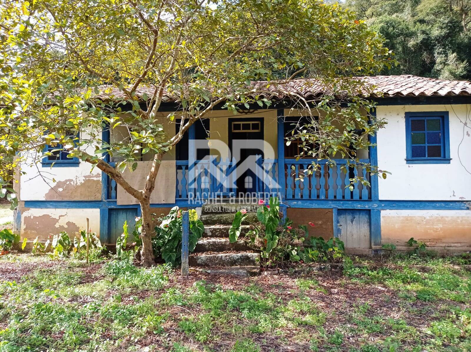 Fazenda à venda com 4 quartos, 21m² - Foto 11