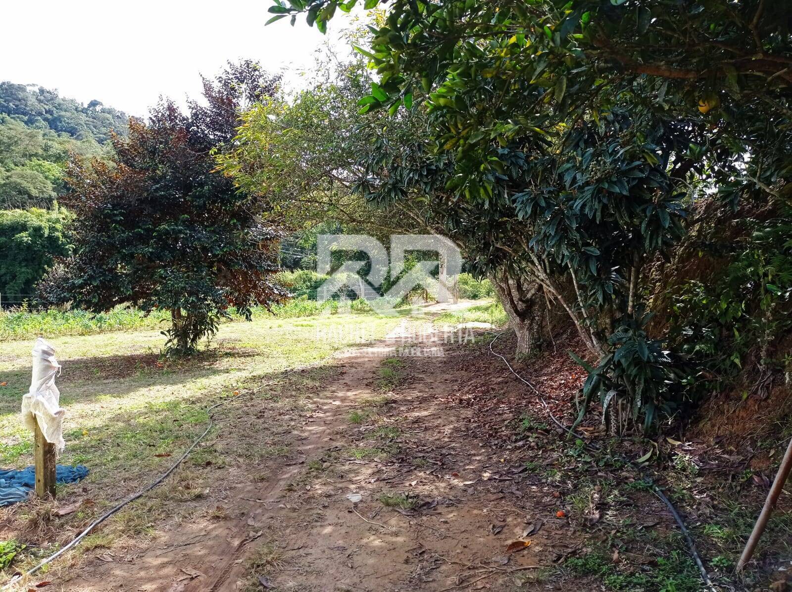 Fazenda à venda com 4 quartos, 21m² - Foto 13