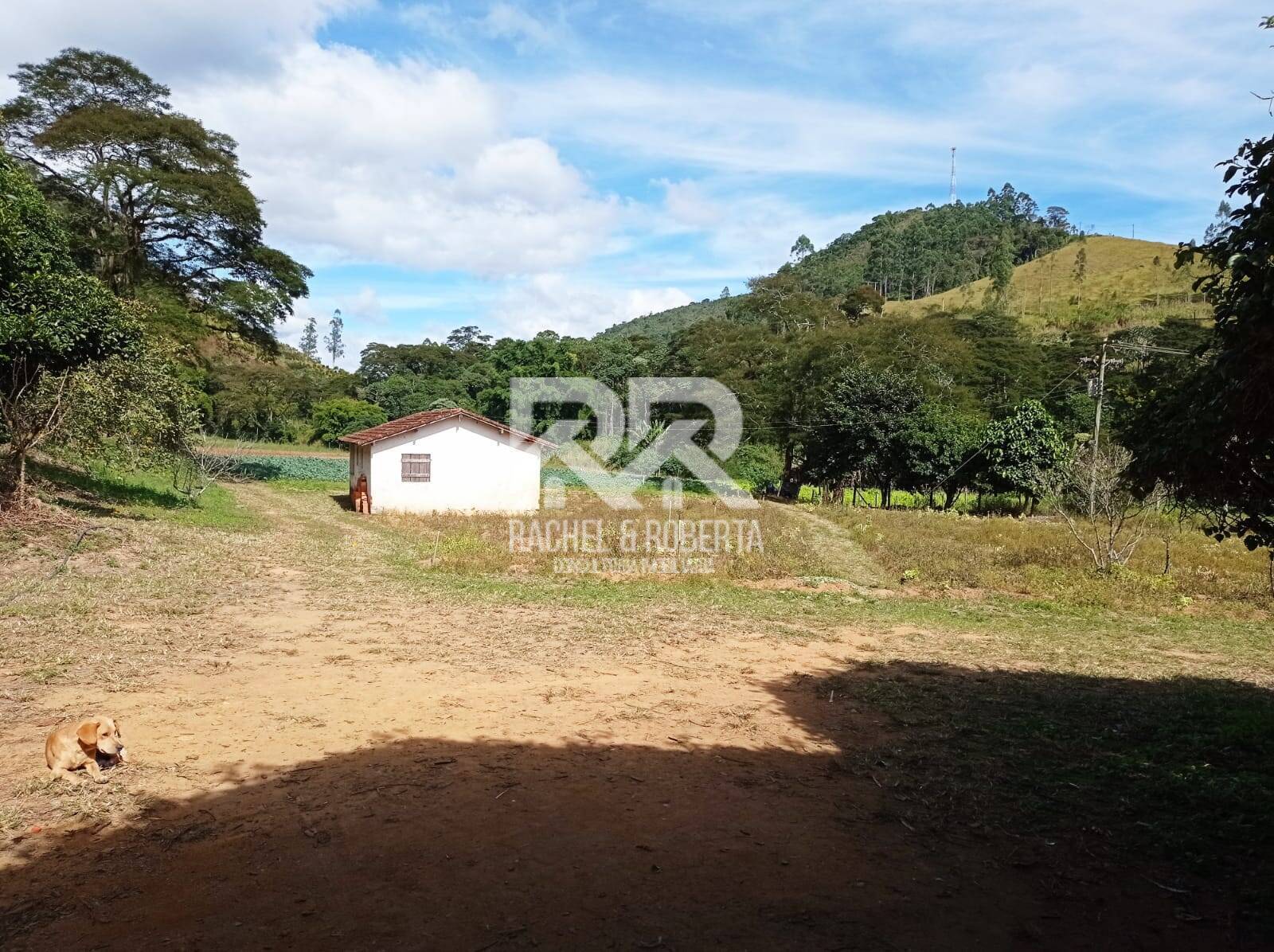 Fazenda à venda com 4 quartos, 21m² - Foto 14