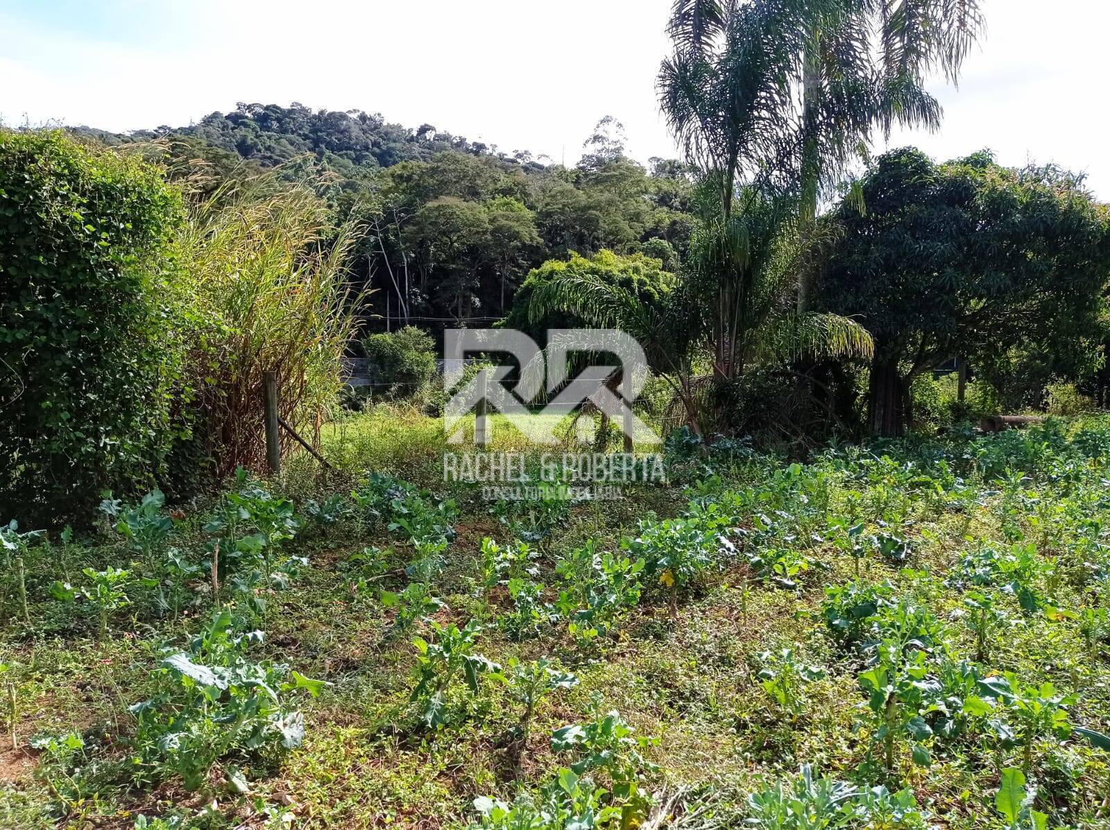 Fazenda à venda com 4 quartos, 21m² - Foto 15