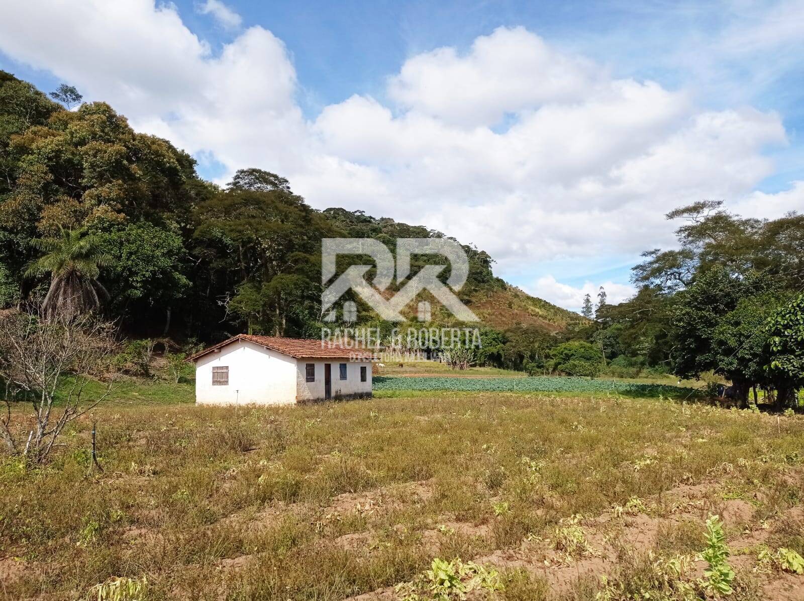 Fazenda à venda com 4 quartos, 21m² - Foto 17