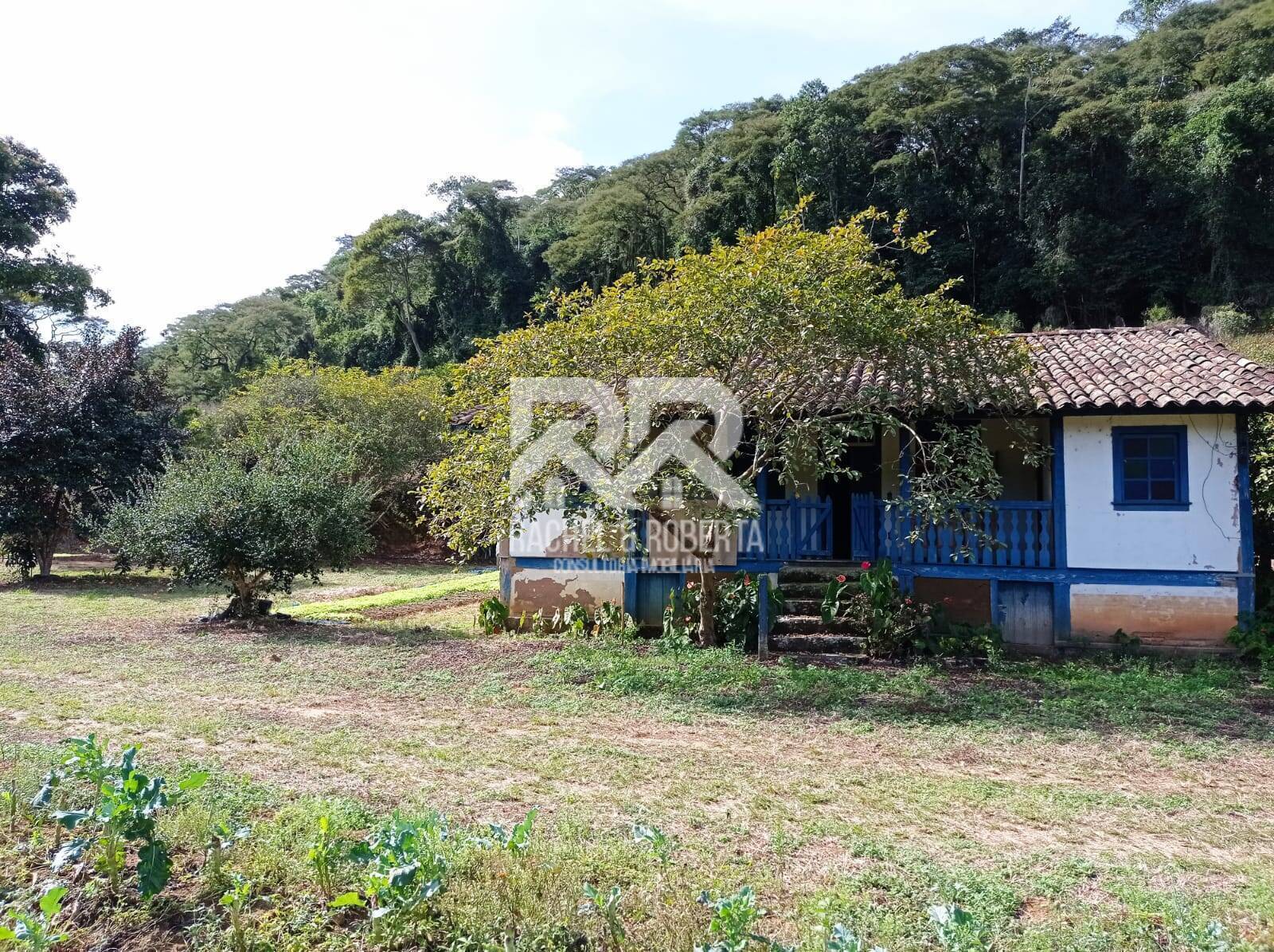Fazenda à venda com 4 quartos, 21m² - Foto 16
