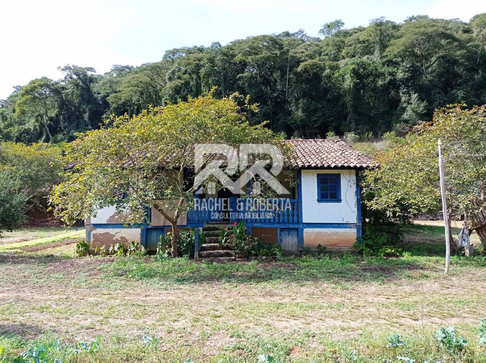 Fazenda à venda com 4 quartos, 21m² - Foto 18