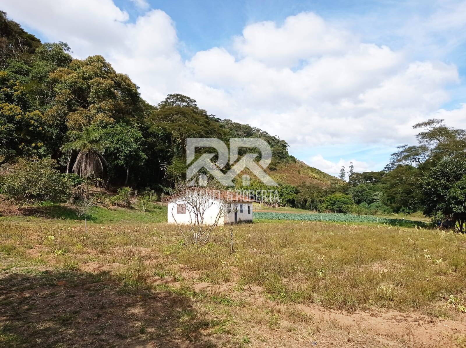 Fazenda à venda com 4 quartos, 21m² - Foto 19
