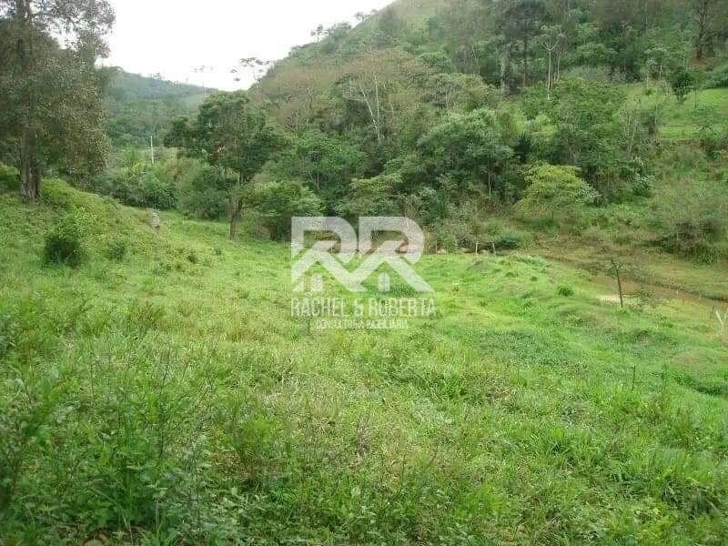 Fazenda à venda com 2 quartos, 71000m² - Foto 3