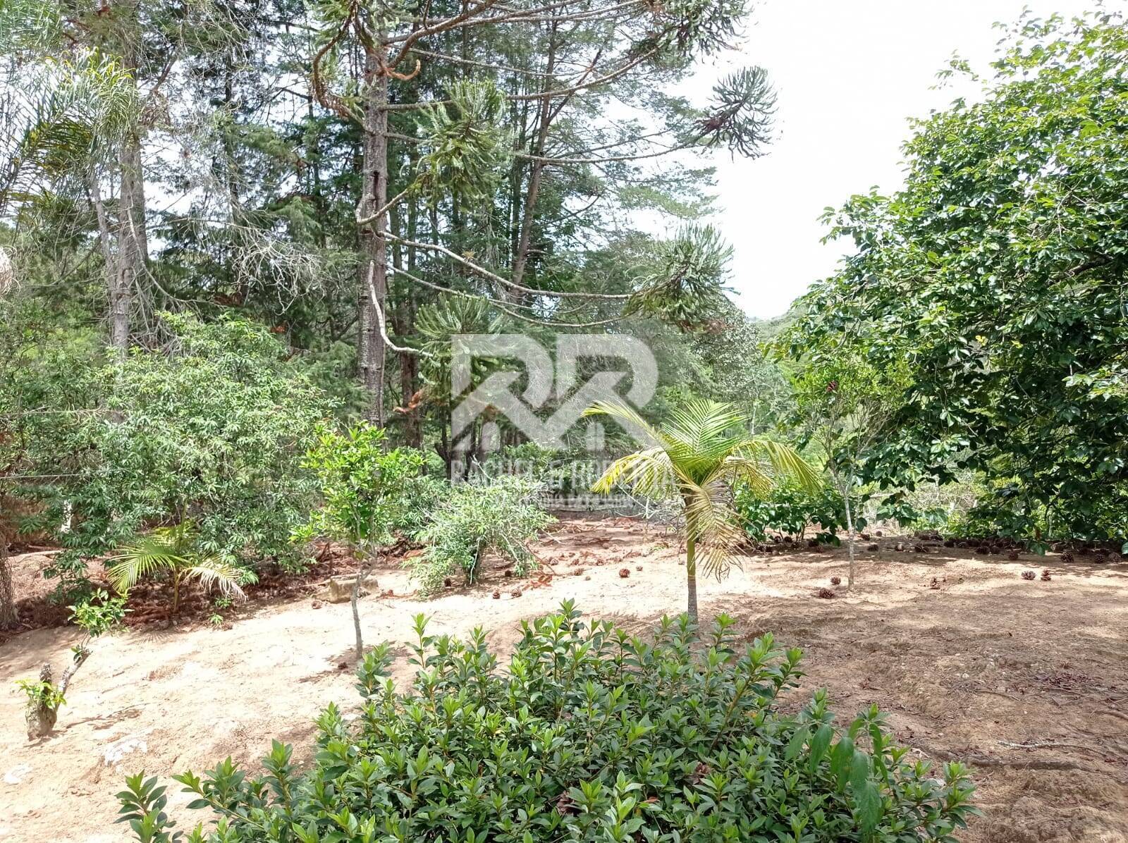 Fazenda à venda com 2 quartos, 71000m² - Foto 7