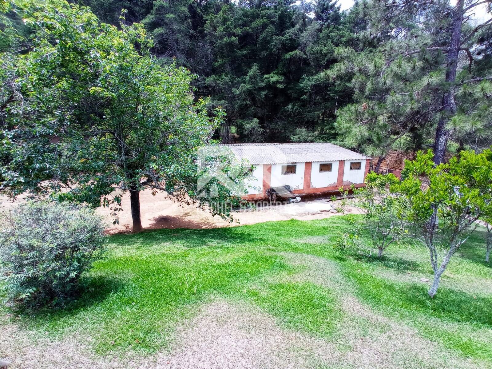 Fazenda à venda com 2 quartos, 71000m² - Foto 8