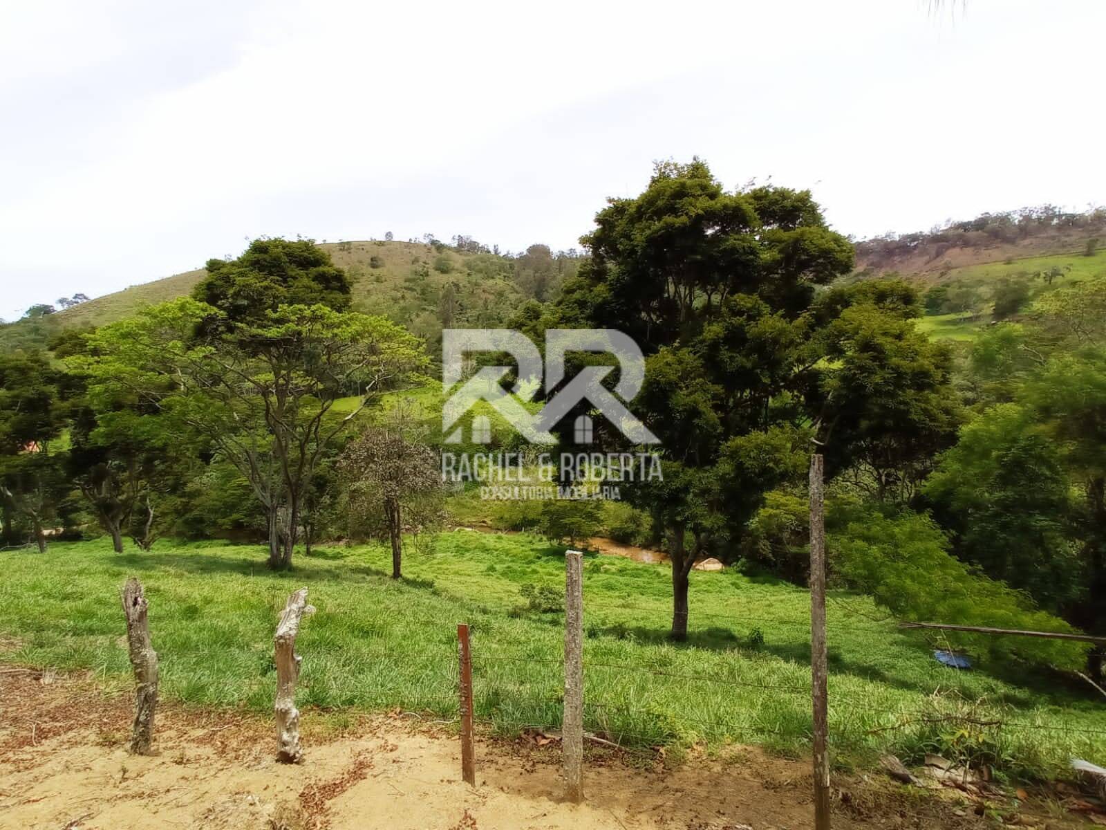 Fazenda à venda com 2 quartos, 71000m² - Foto 10