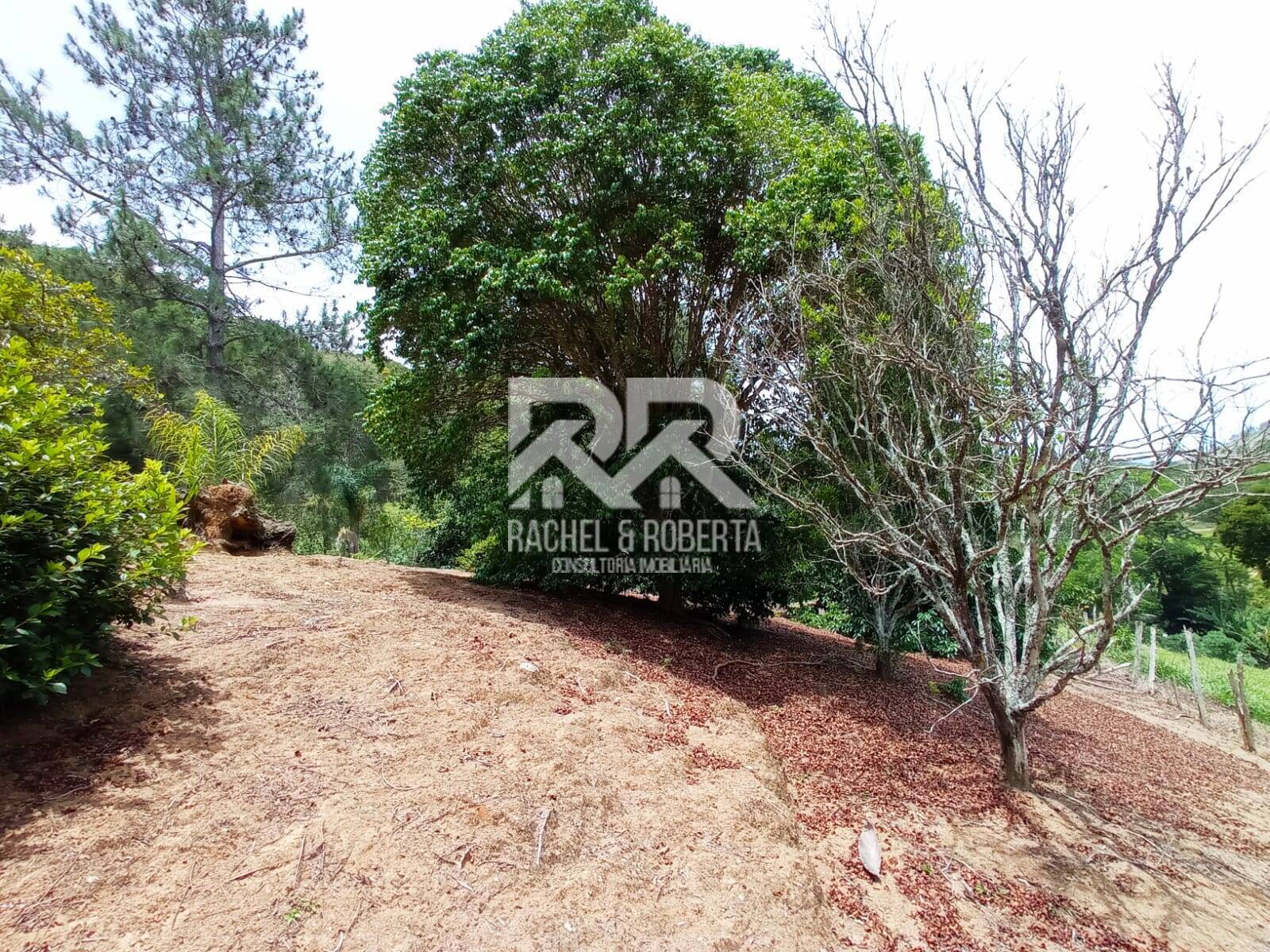 Fazenda à venda com 2 quartos, 71000m² - Foto 9