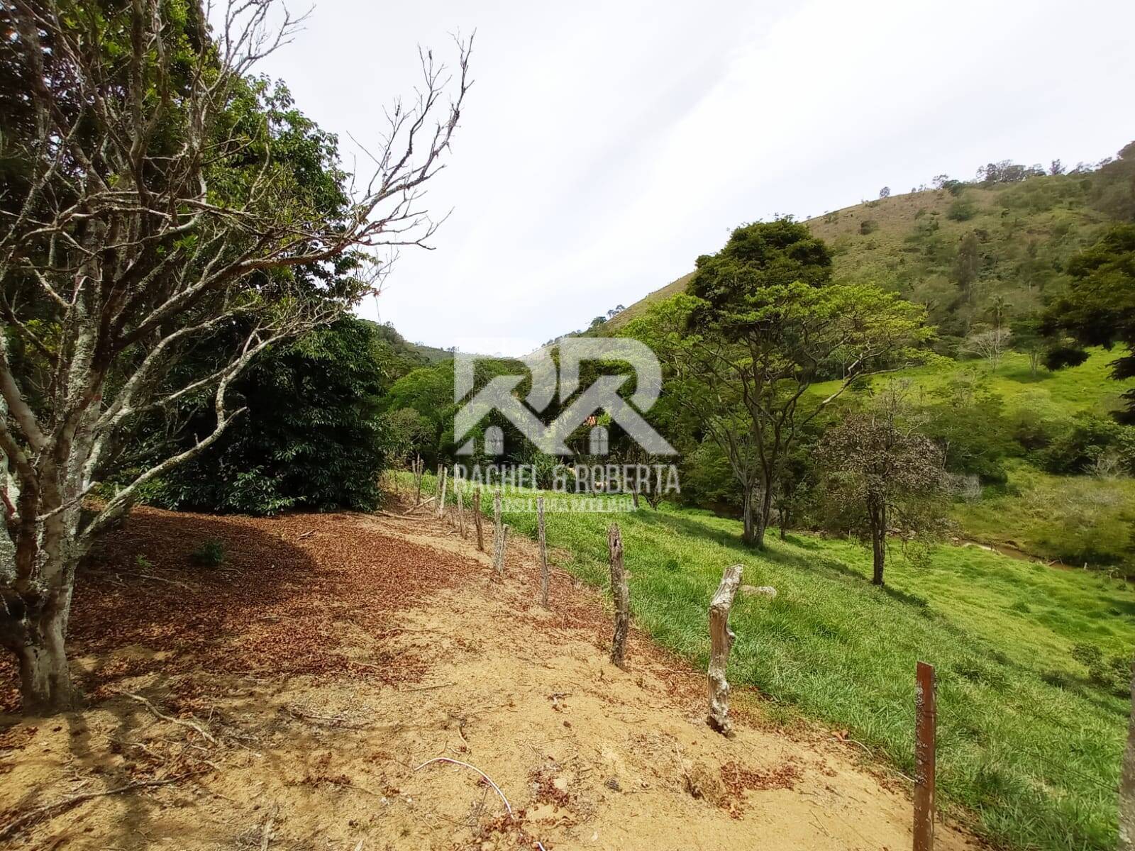 Fazenda à venda com 2 quartos, 71000m² - Foto 11