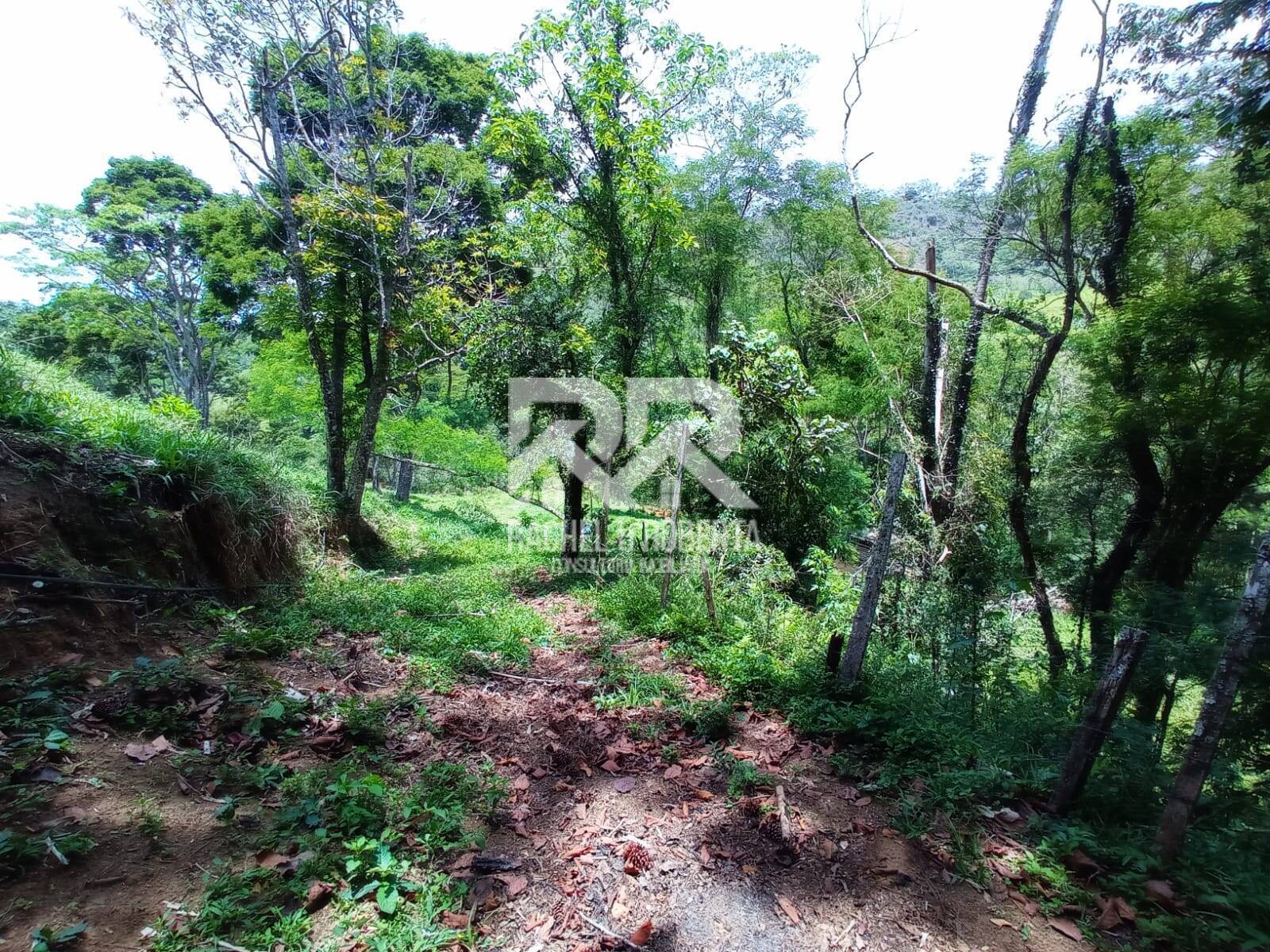Fazenda à venda com 2 quartos, 71000m² - Foto 13
