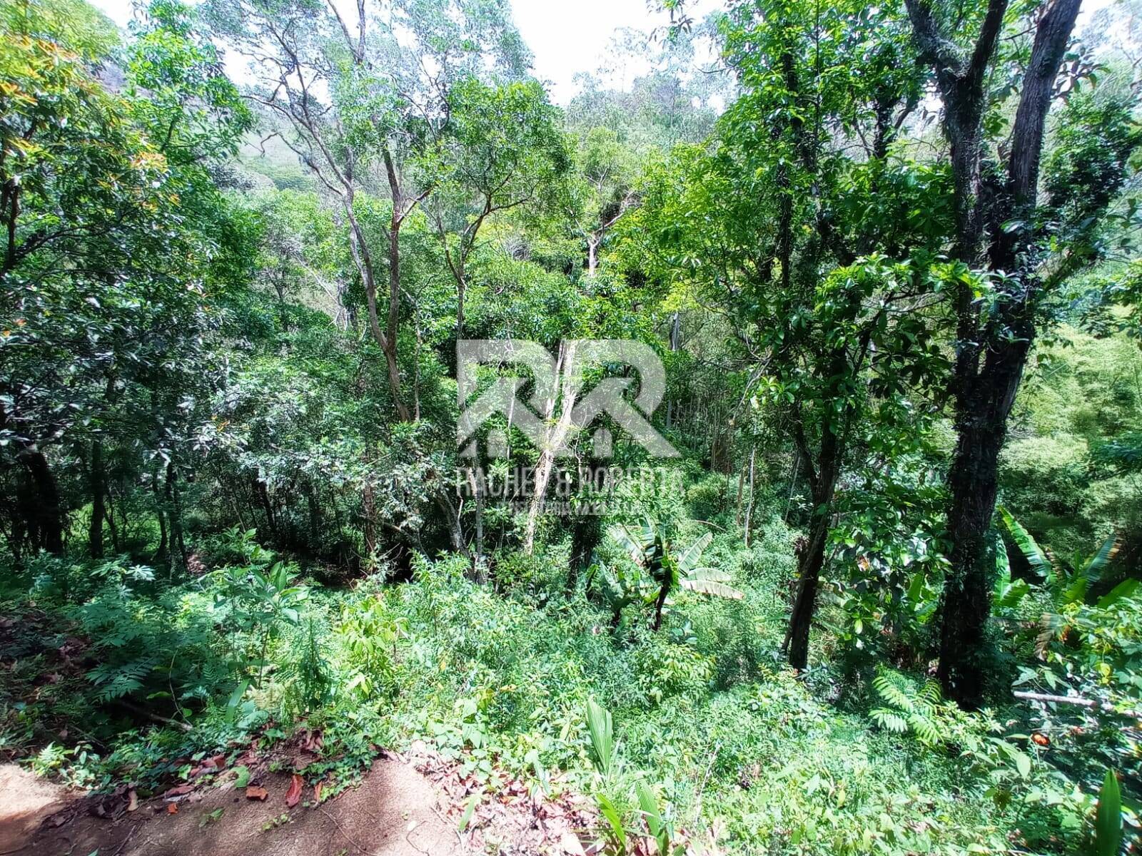 Fazenda à venda com 2 quartos, 71000m² - Foto 14