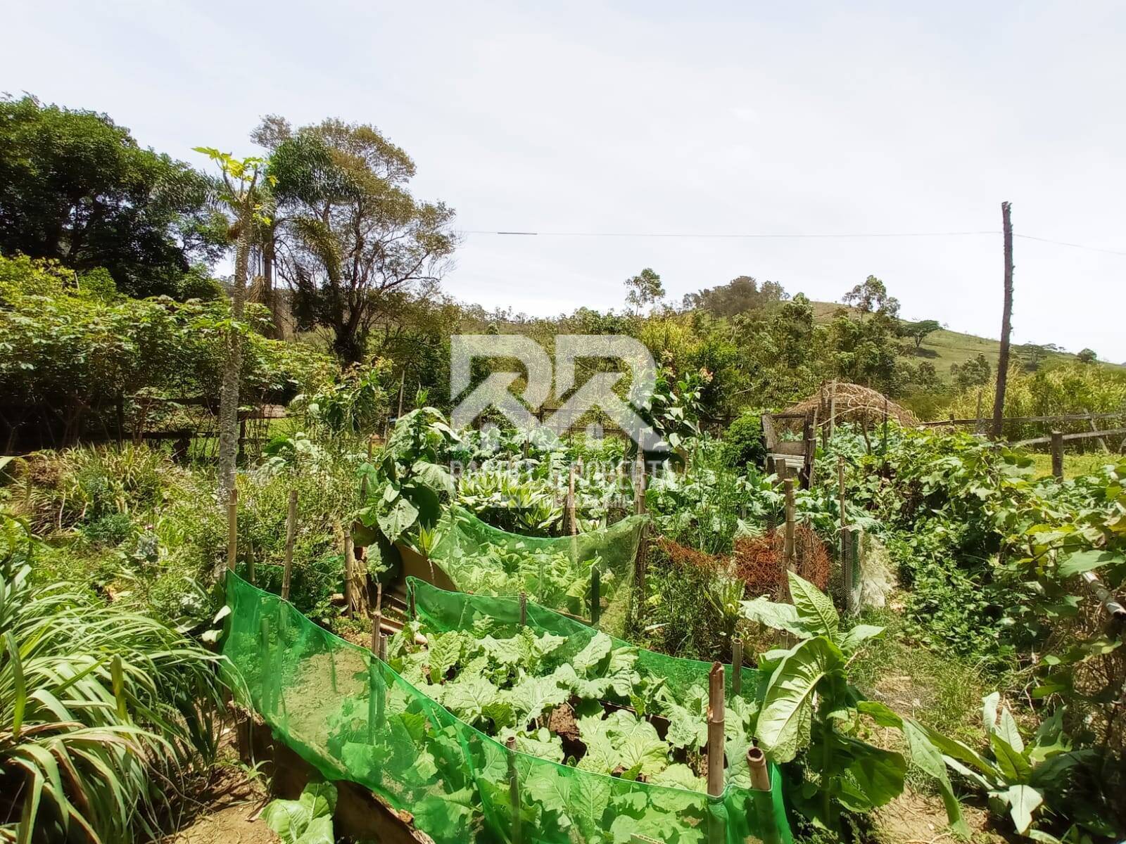 Fazenda à venda com 2 quartos, 71000m² - Foto 15