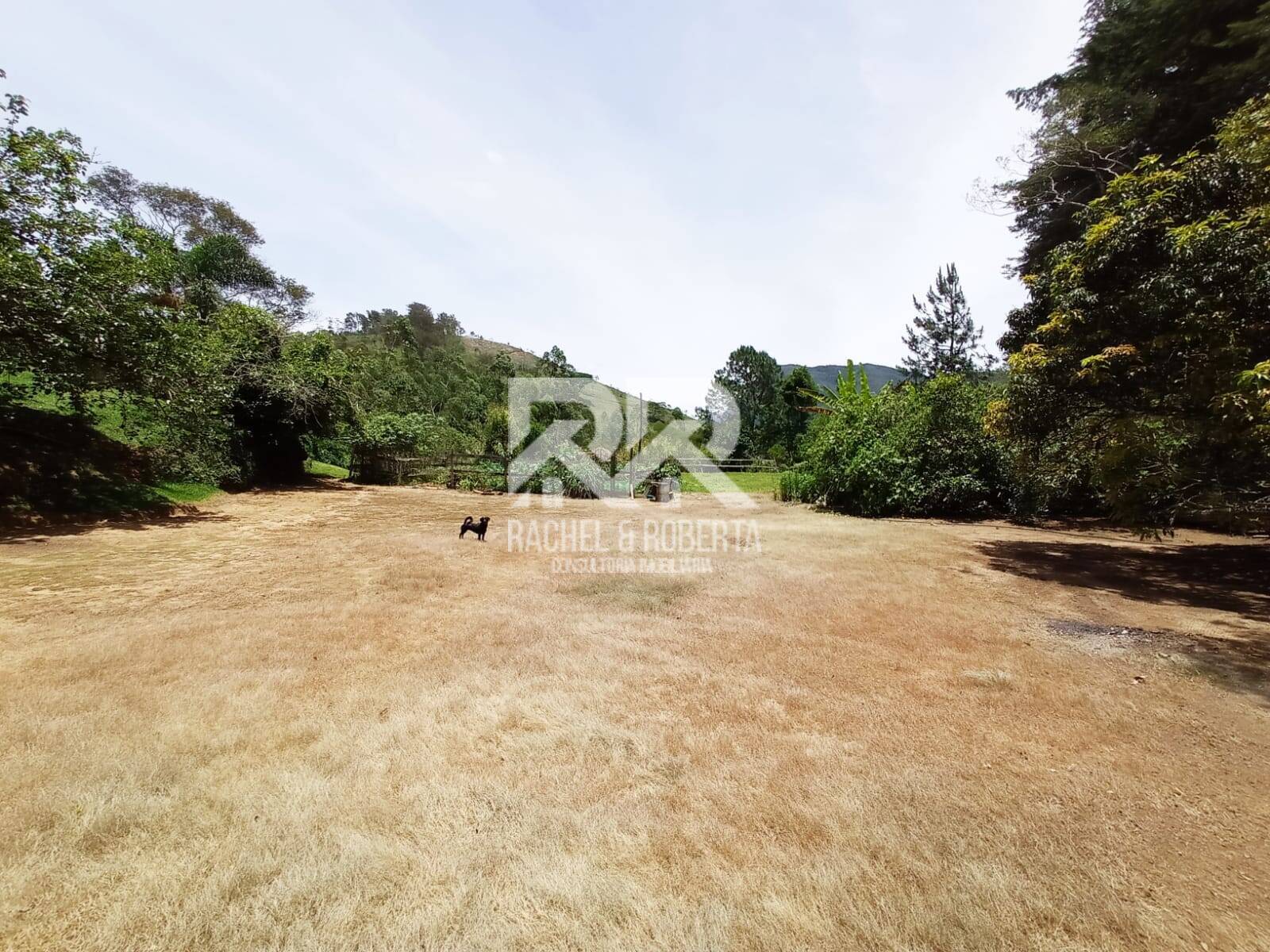 Fazenda à venda com 2 quartos, 71000m² - Foto 17