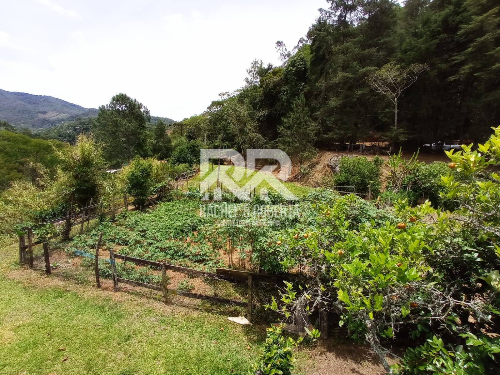 Fazenda à venda com 2 quartos, 71000m² - Foto 20