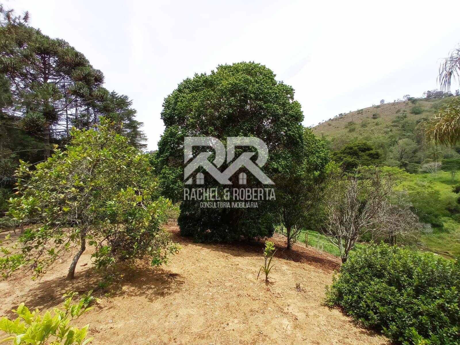 Fazenda à venda com 2 quartos, 71000m² - Foto 30