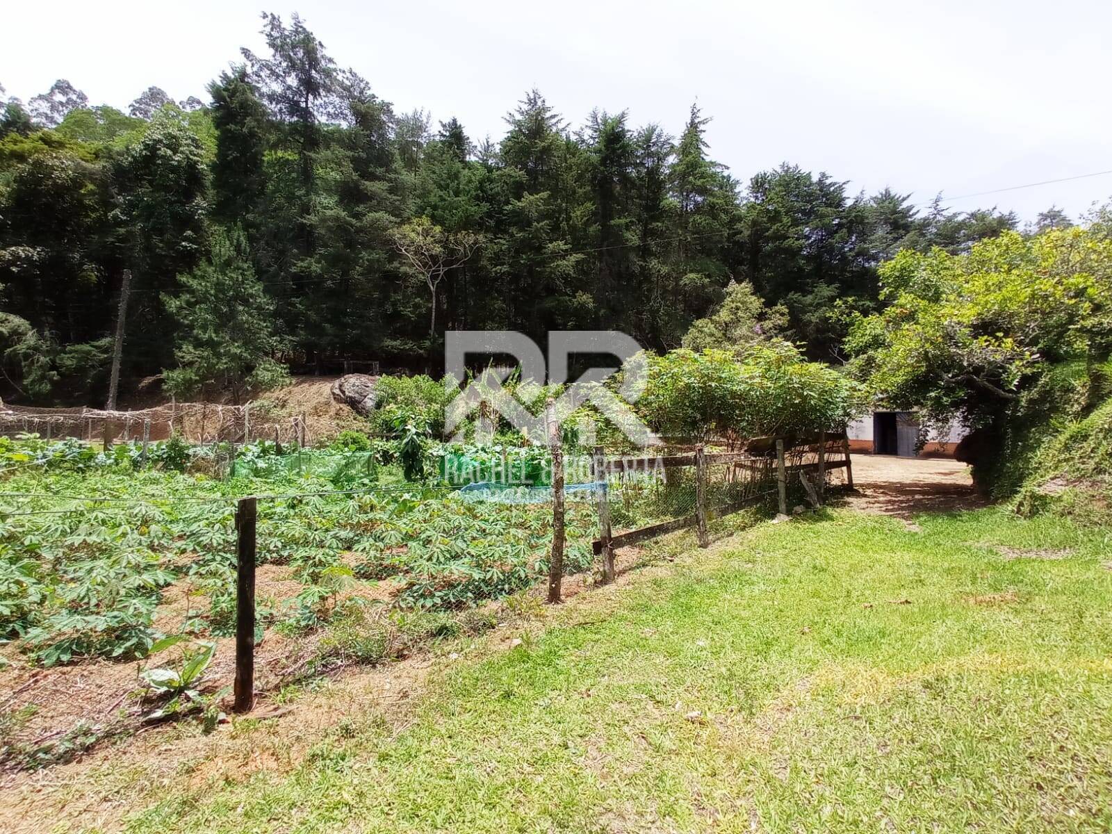 Fazenda à venda com 2 quartos, 71000m² - Foto 32