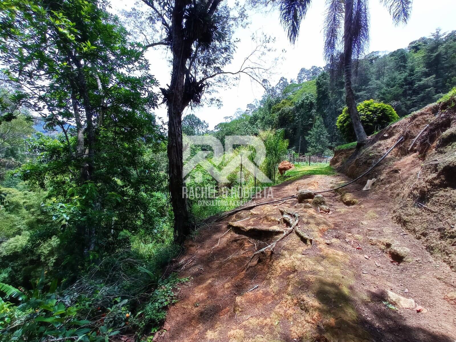 Fazenda à venda com 2 quartos, 71000m² - Foto 33