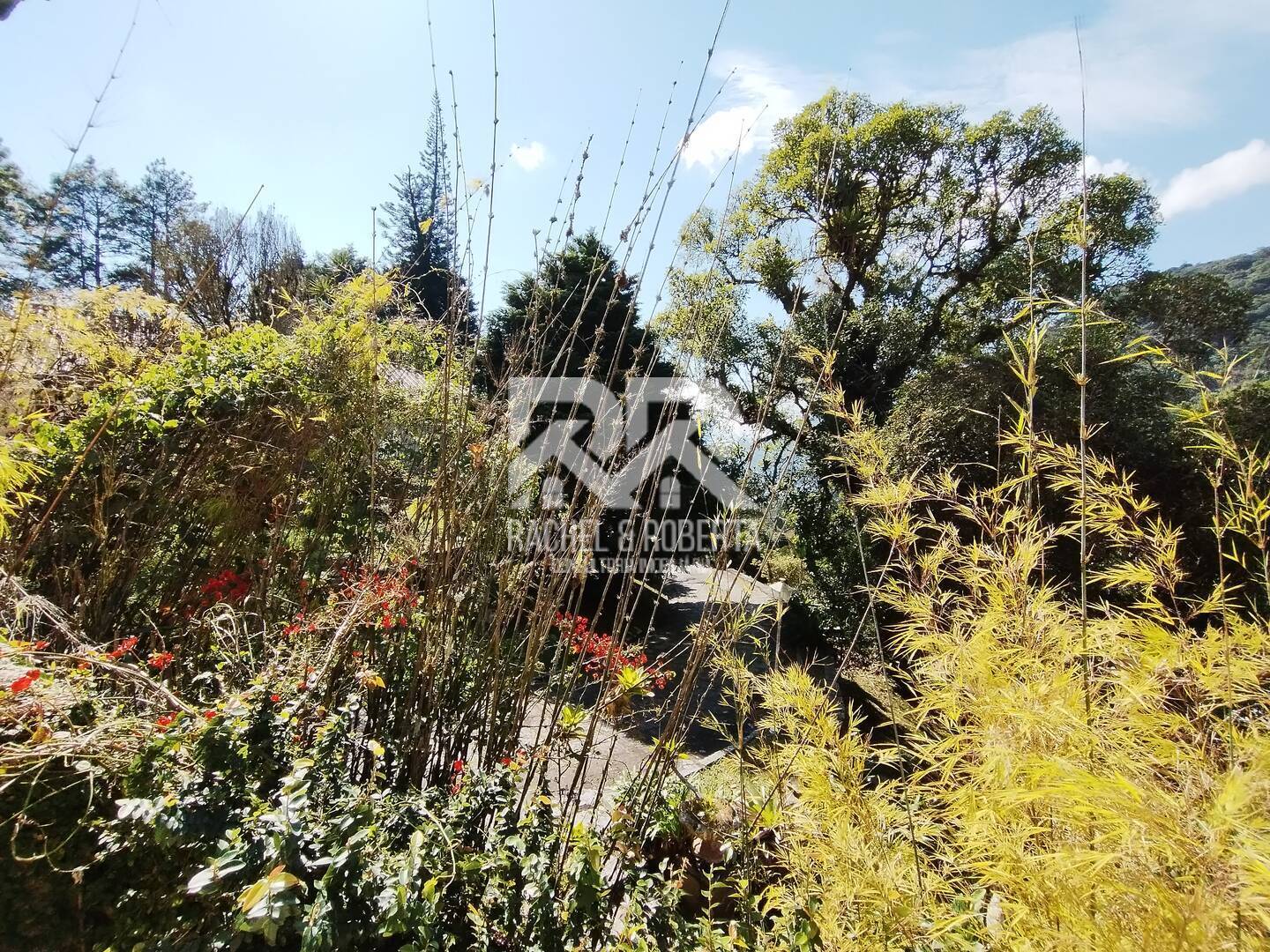 Casa de Condomínio, 3 quartos - Foto 17