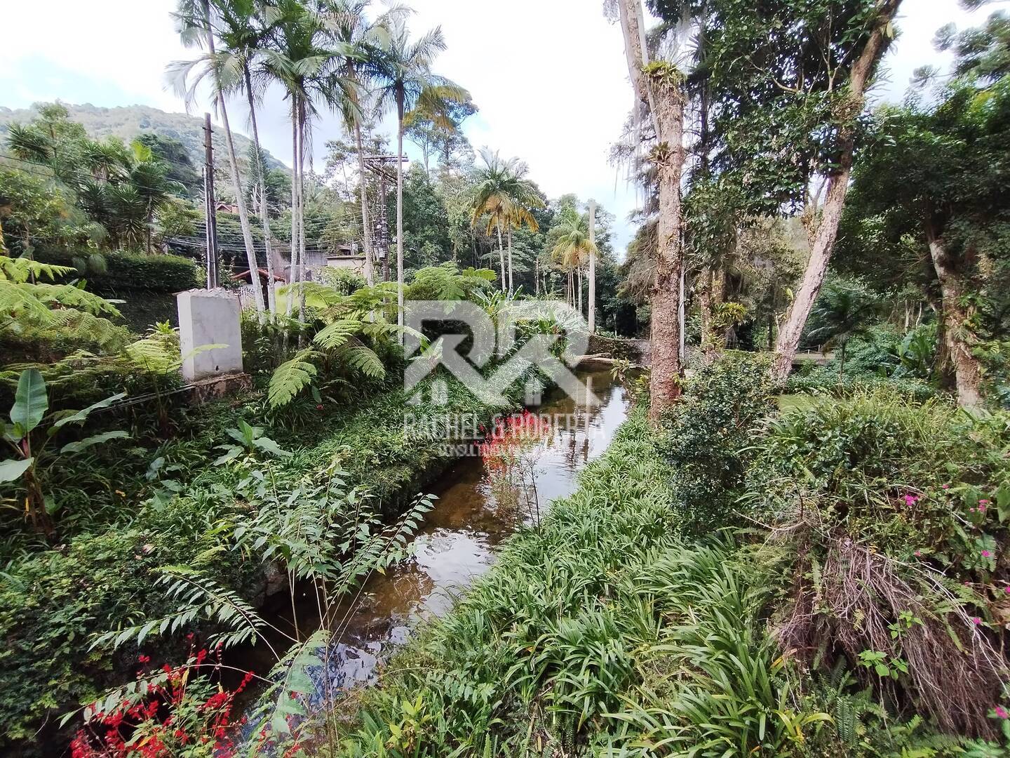 Casa à venda com 5 quartos, 300m² - Foto 46
