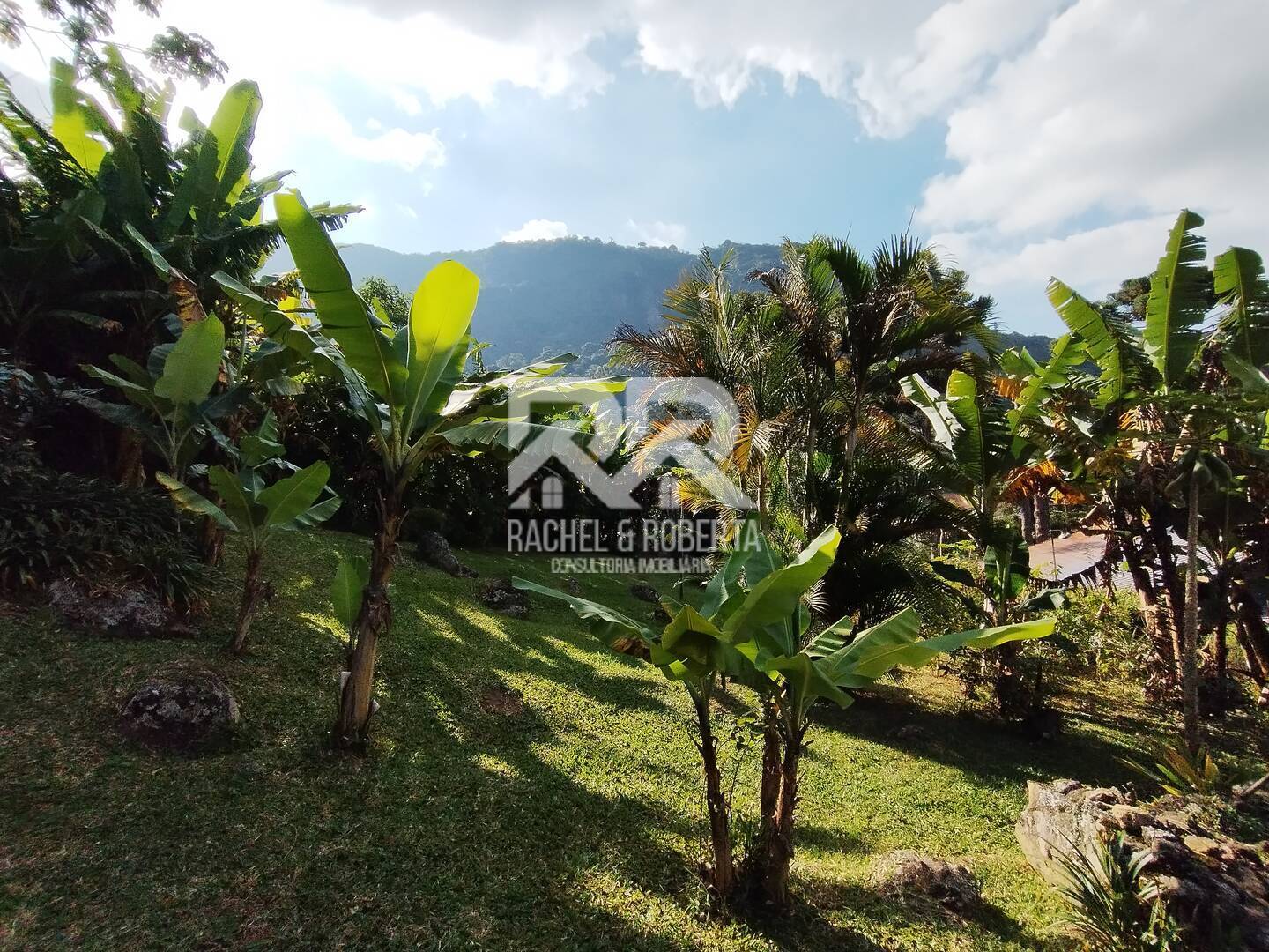 Casa à venda com 5 quartos, 300m² - Foto 64