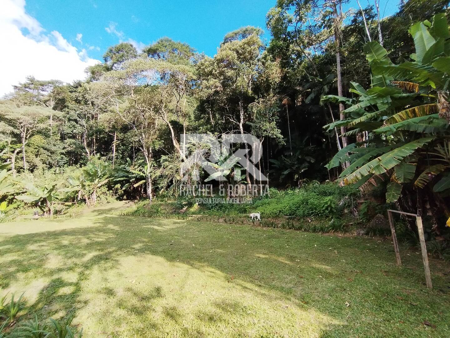 Casa à venda com 5 quartos, 300m² - Foto 65