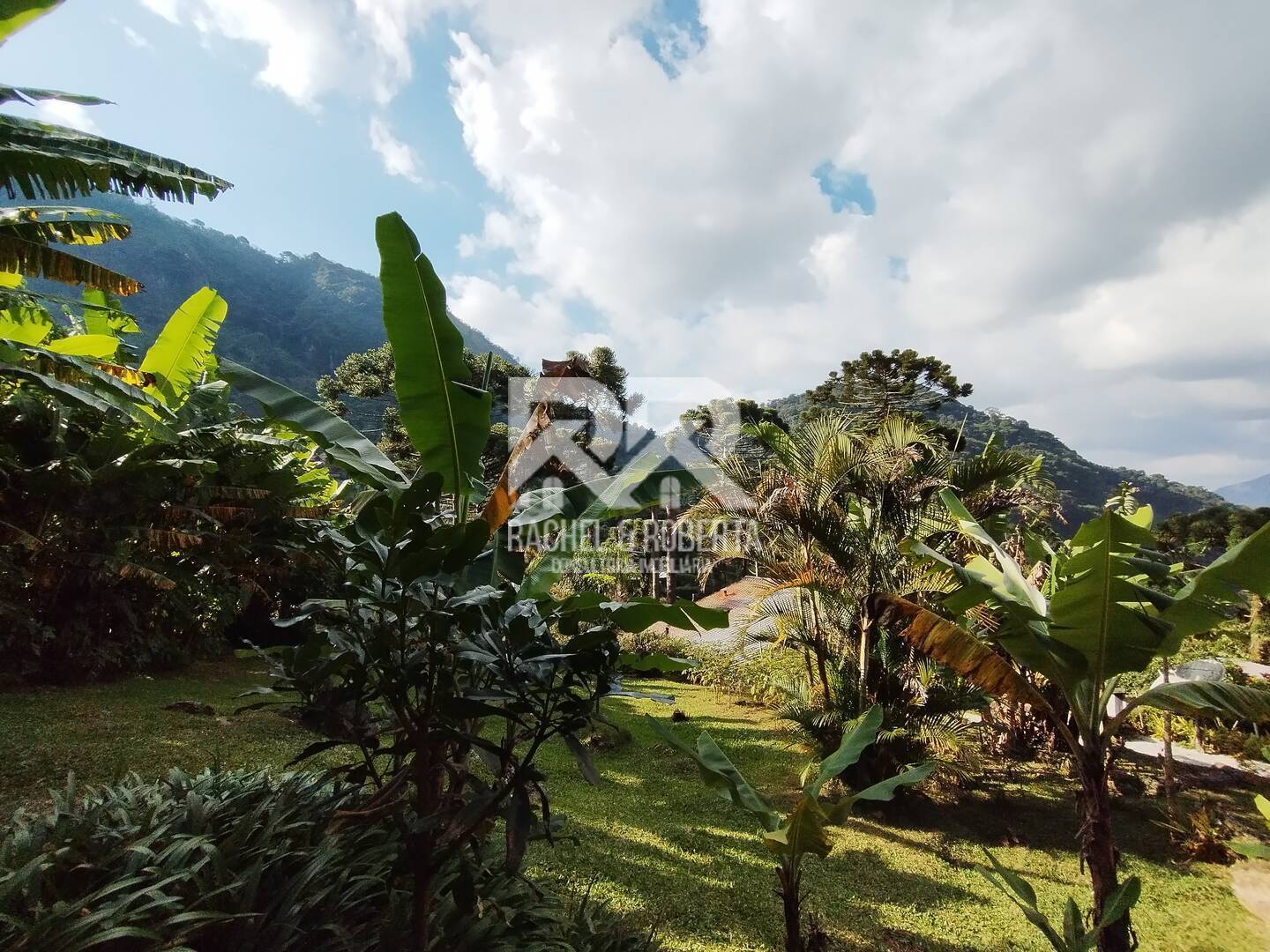 Casa à venda com 5 quartos, 300m² - Foto 66