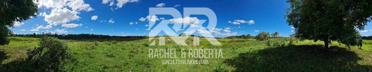 Terreno, 126 hectares - Foto 8