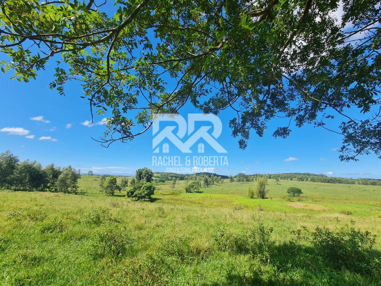 Terreno, 126 hectares - Foto 9