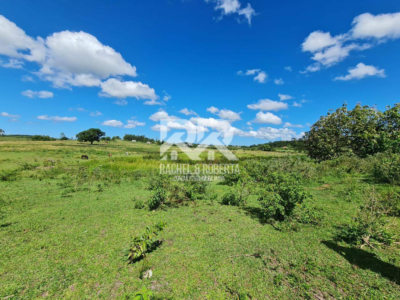 Terreno, 126 hectares - Foto 11