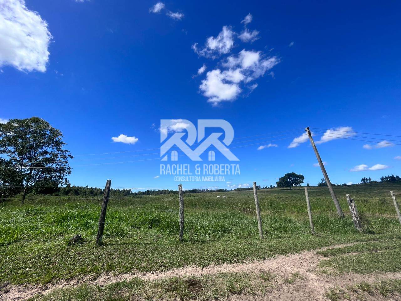 Terreno, 126 hectares - Foto 10