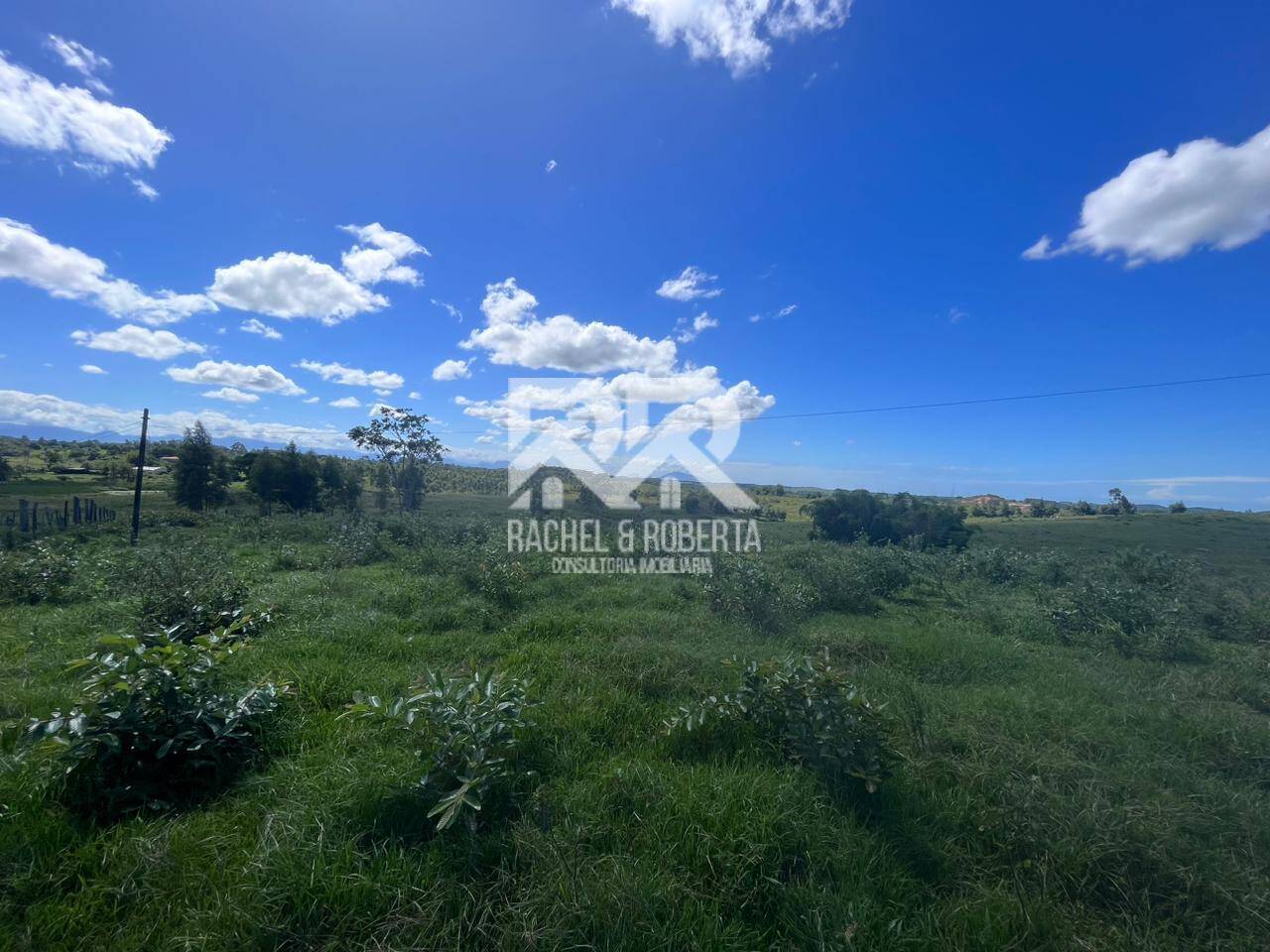 Terreno, 126 hectares - Foto 12