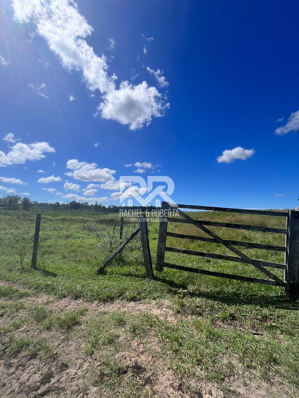 Terreno, 126 hectares - Foto 14